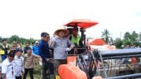Panen Raya Padi Penangkar di Kikim Selatan