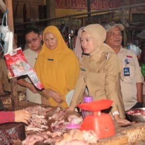 Wakil Bupati Lahat Lakukan Sidak Pasar dan Distributor Barang