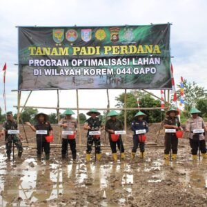 Staf Ahli Bupati Banyuasin Dan Dandim O430/BA Tanam Padi Perdana