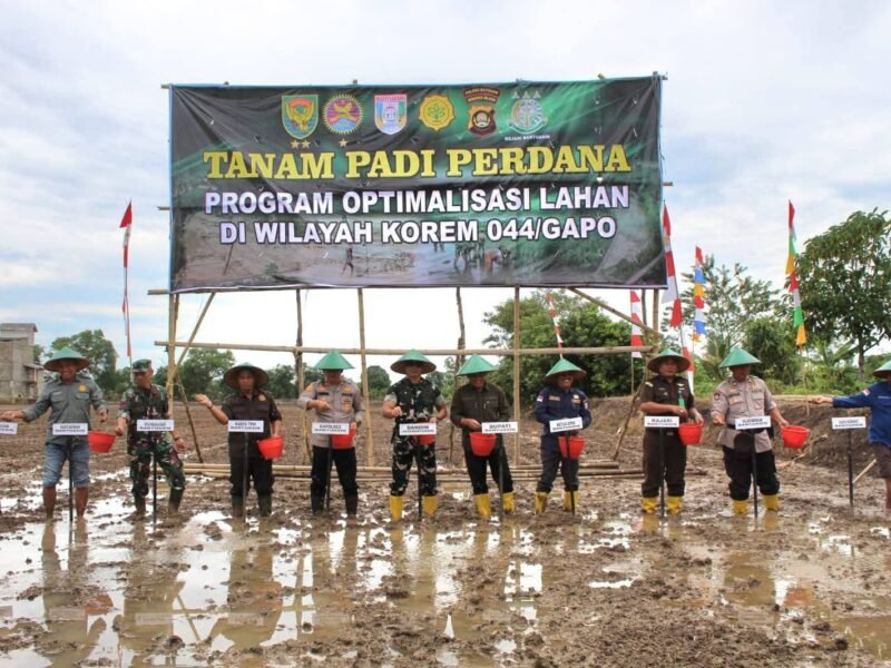 Staf Ahli Bupati Banyuasin Dan Dandim O430/BA Tanam Padi Perdana