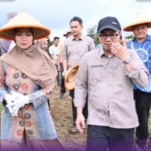 Wakil Wali Kota Pagar Alam Hj Bertha Melakukan Panen Raya Bawang, Dukung Swasembada Pangan